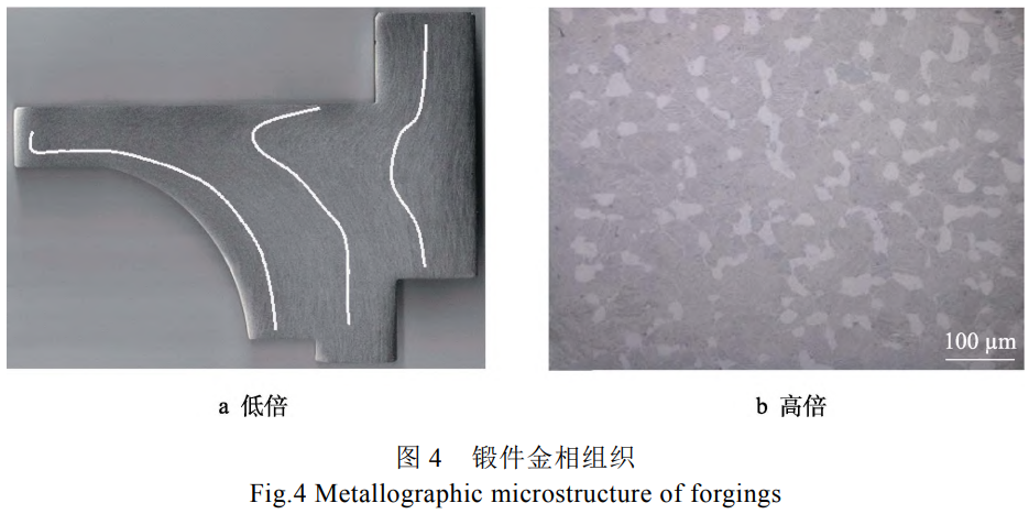 截圖20251020163408.png