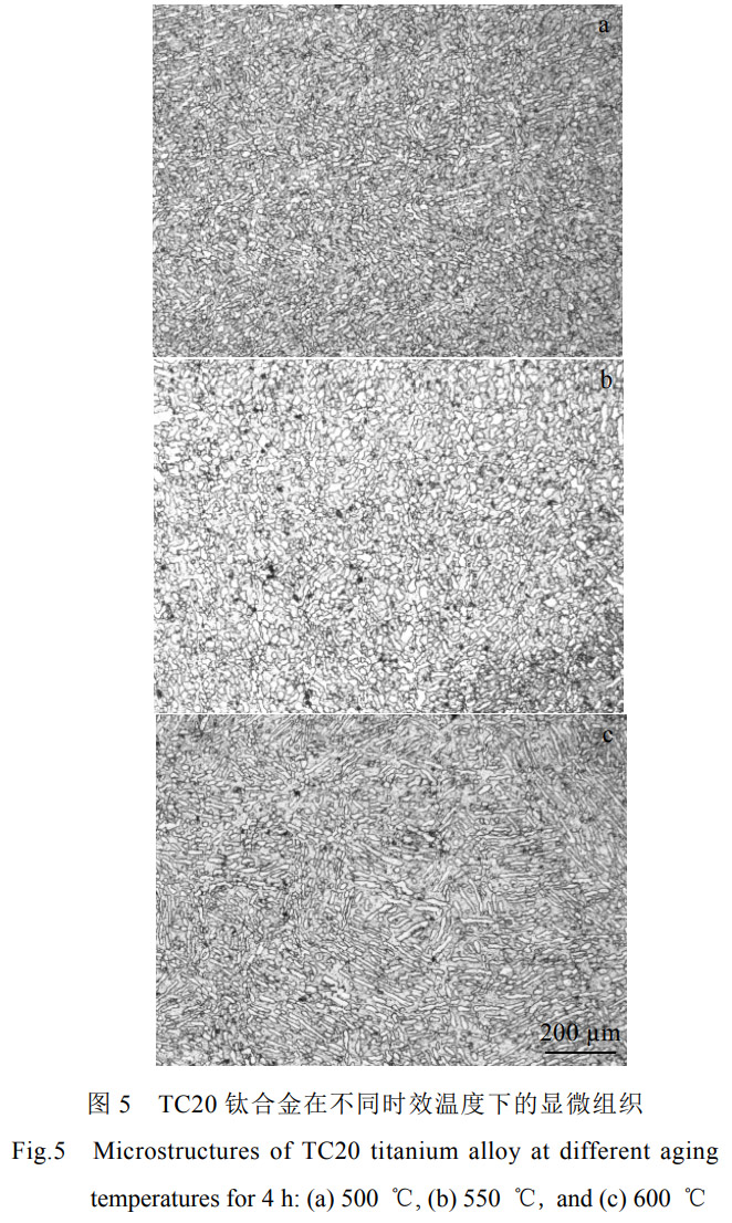 1779417054166570.jpg 5.jpg